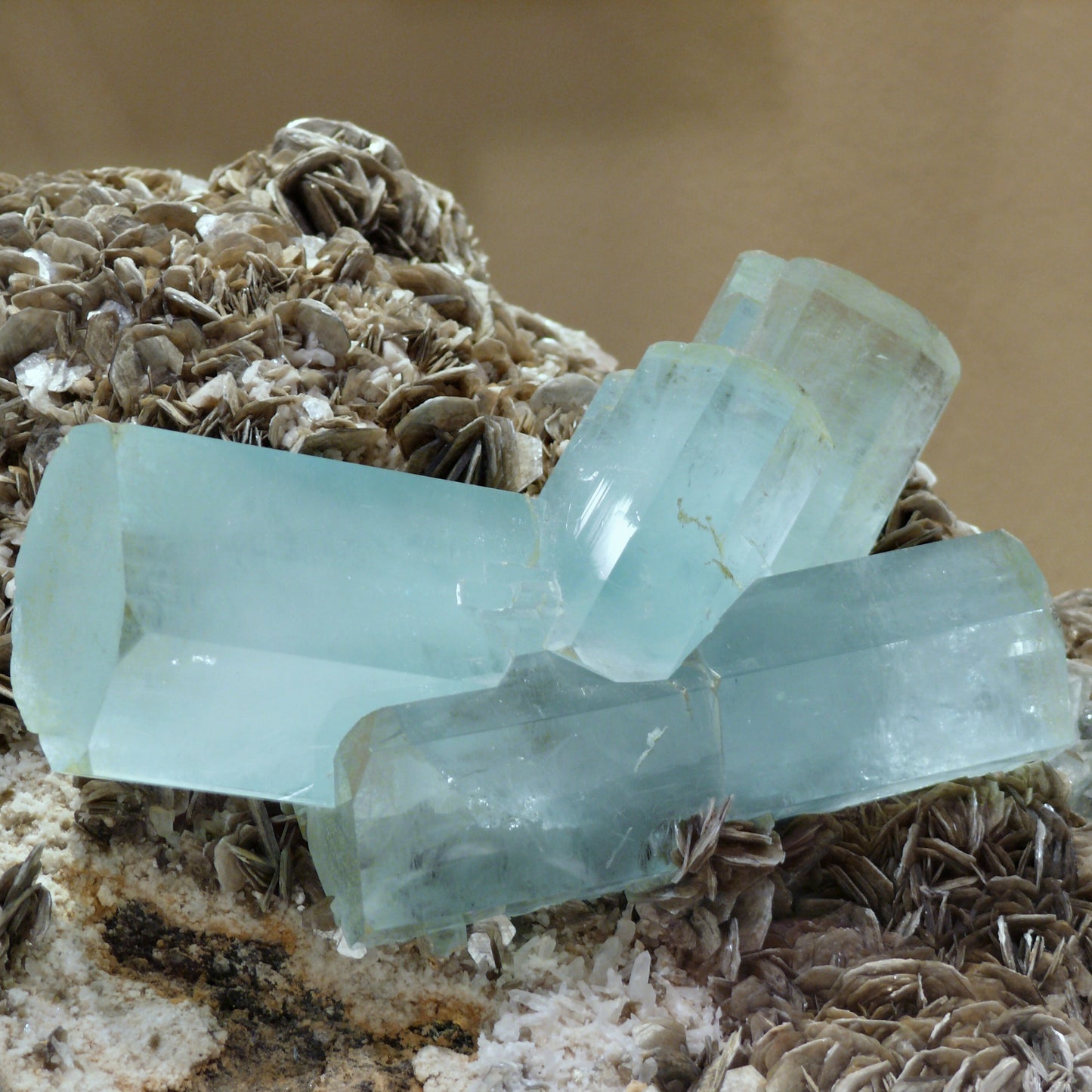 Clear crystal-like structures on a textured brown background