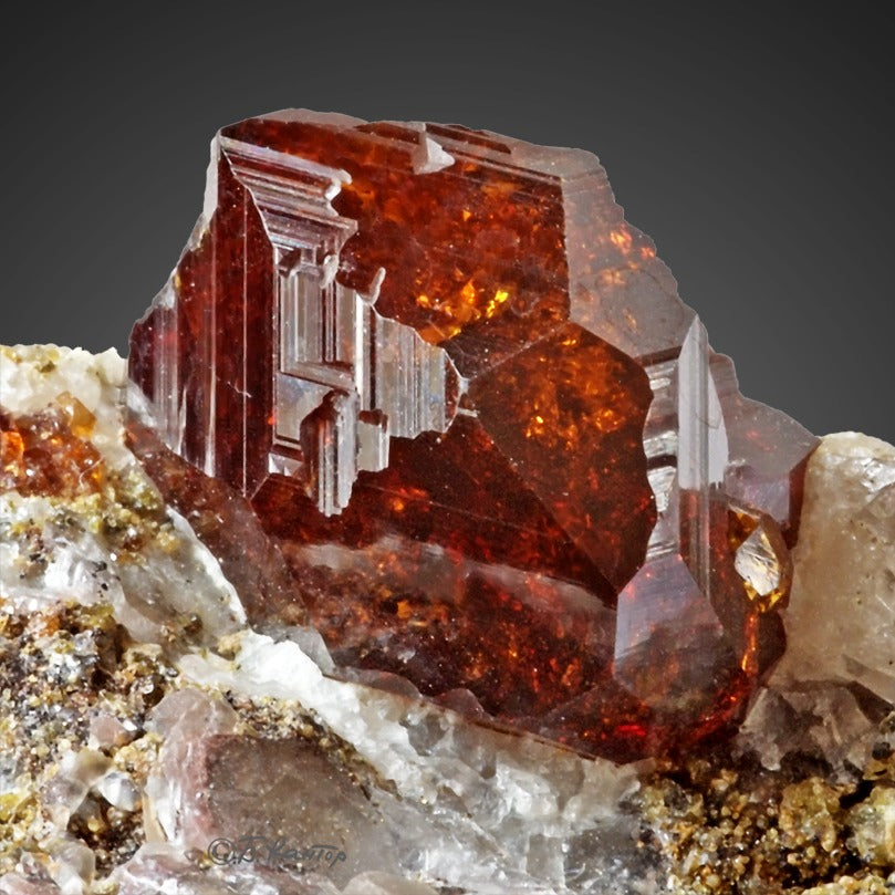 The InterMix Golden Rutile With Garnet 100 Beads 8MM.